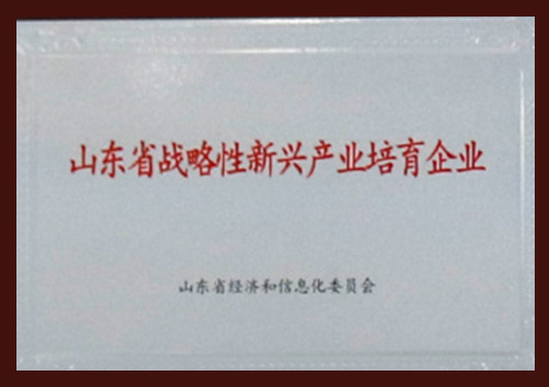 Strategisch unterstütztes aufstrebendes Unternehmen der Provinz Shandong